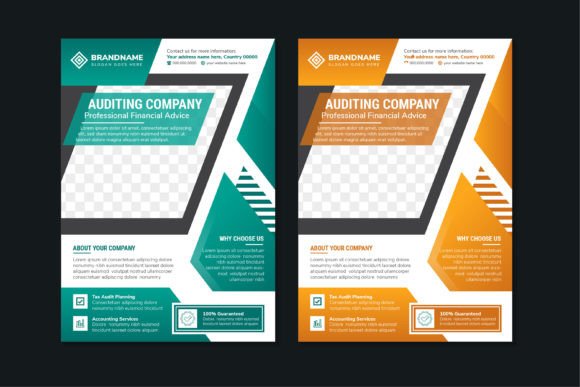 Auditing Company Vertical Flyer for Print Templates and Graphics